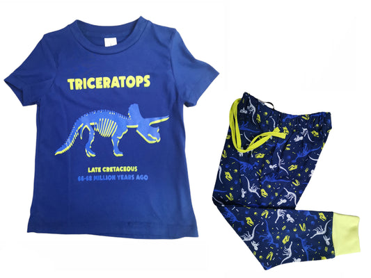 PNBP2111-038 Pijama niño con pantalón estampado TRICERATOPS
