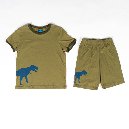 PNBP17-508MZ Pijama niño estampado dinosaurio.